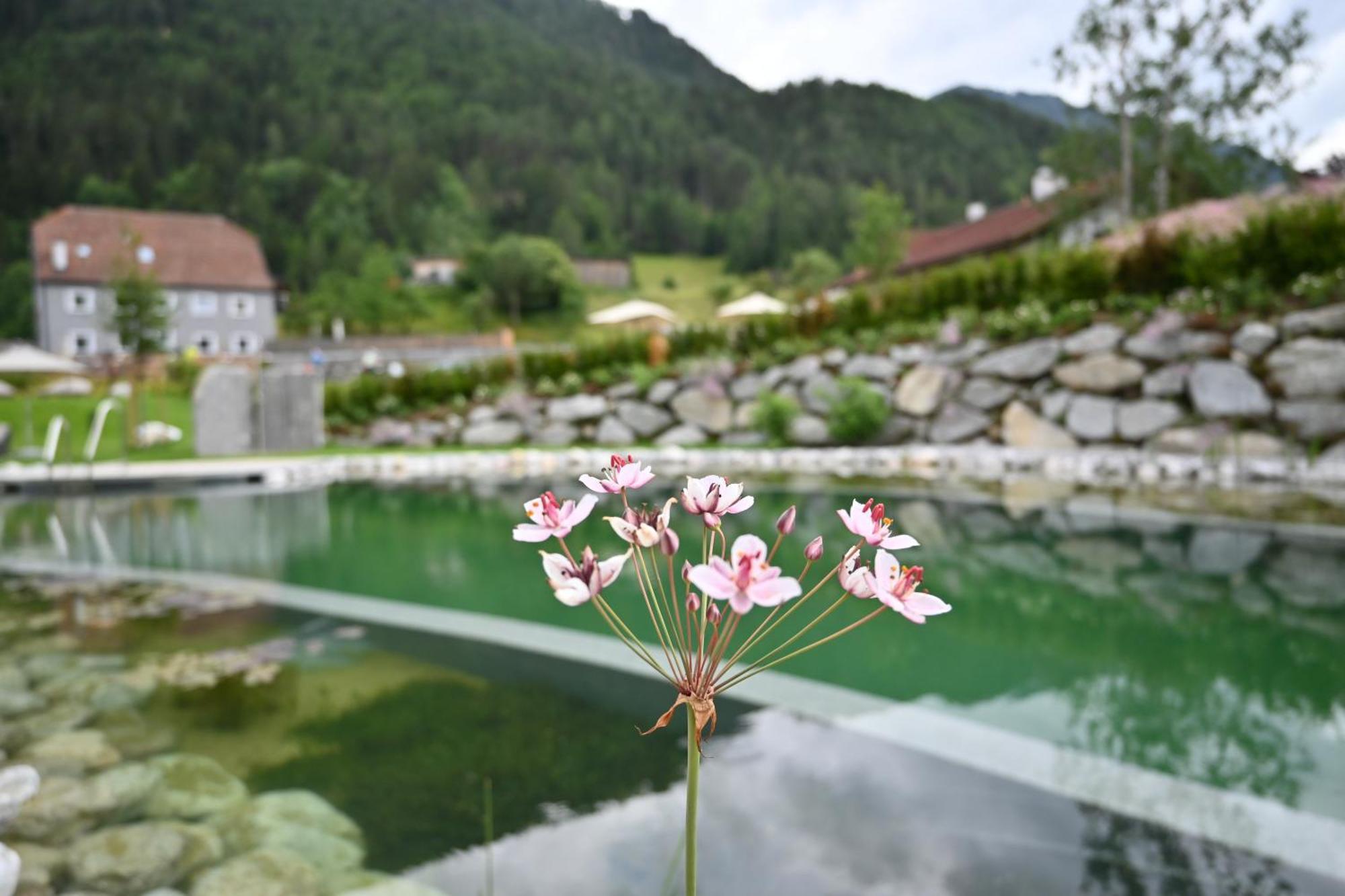 Tilia Living - B&B Mit Dem Komfort Eines Kleinen, Feinen Hotels Ried im Oberinntal Exteriör bild
